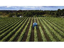 New Holland presenta la recolectora Braud 11.90 X Multi para plantaciones superintensivas